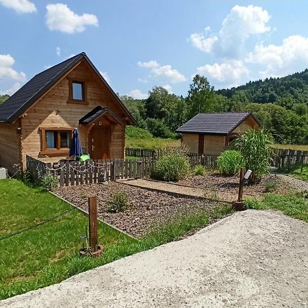 Dolina Rosy Villa Устшики Долне Екстериор снимка