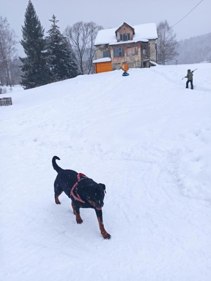 Dolina Rosy Villa Устшики Долне Екстериор снимка