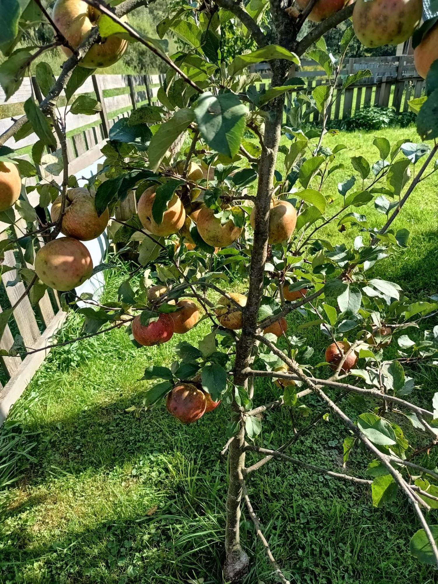 Dolina Rosy Villa Устшики Долне Екстериор снимка